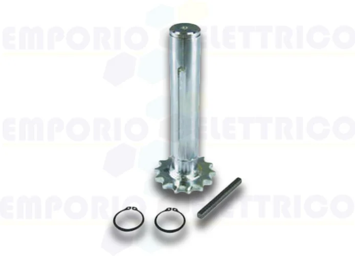 bft pignon réduction sur portes industrielles pig 30/ulisse s 2600565 n733337